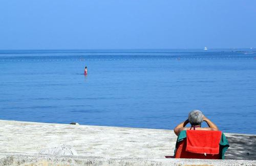 Groznjan Appartement | Apartments with WiFi Groznjan, Central Istria - Sredisnja Istra - 7038