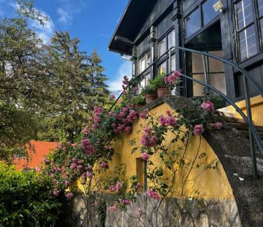 Szentendrei Appartement | ApartmentVillaSolomon7 - Dunakanyar Apartman Visegrád Panorámás