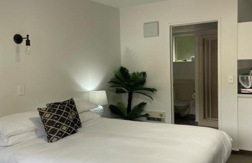 Tahunanui Hôtel | Apex Motorlodge