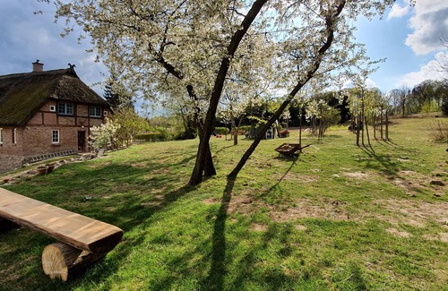 Pantow Appartement | App Kliemkiker, 2-4 pers., in dreamlike secluded location, barbecue, near Binz