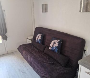 Saint-Hippolyte Appartement | Appartement avec terrasse Saint Laurent de la salanque