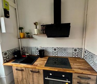 Nancy City Centre Appartement | Apparemment chaleureux hyper centre Nancy