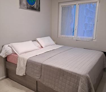 Saint-Priest Maison | Apparemment T11