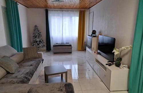 Saint-Priest Maison | Apparemment T11