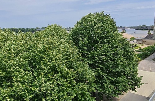 Saumur Appartement | Apparently historic in the center of Saumur