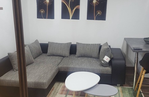 Lille Sud Appartement | Apparemment privé