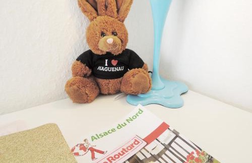 Haguenau Appartement | Appart'AZUR Haguenau - Centre Grand'Rue - Logement entier pour voyageur pro