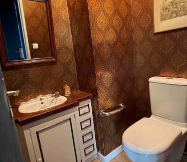 Vierzon Appartement | Appart charme centre Vierzon 3 *