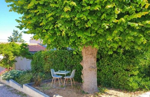 Saint-Georges-de-Didonne Appartement | Appartement "LE CHAT L'HEUREUX"