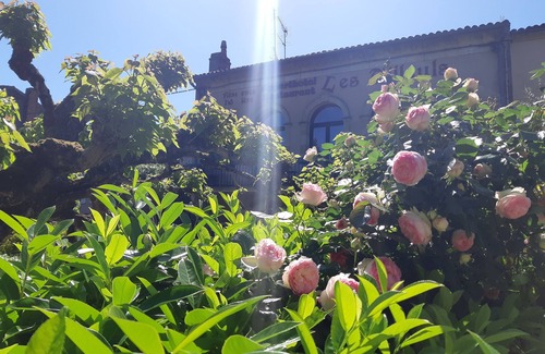 Saint-Macaire Appartement | Appart'hôtel les Tilleuls