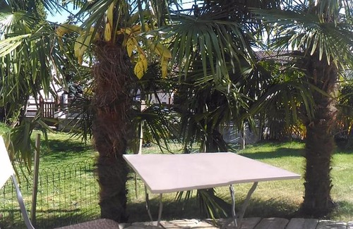 Palaiseau Appartement | Appart hôtel STUDIHOTEL Palaiseau Plateau Saclay