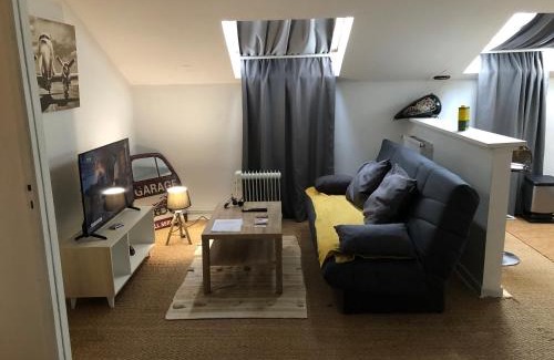 Aurillac Appartement | Appart Hotel Le Victor Hugo Art Mechanical et sa pizza offerte