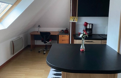 Mulhouse Appartement | Appart T2 musée auto, garage, cuisine équipée, lumineux, calme.