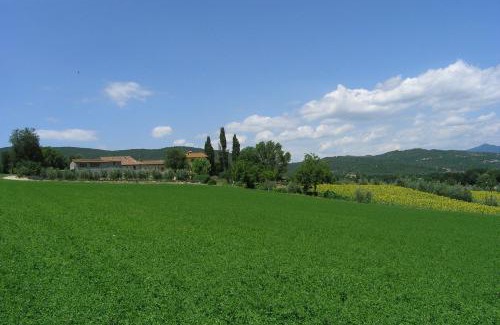 Motina Maison | Appartamenti con cucina nelle colline toscane