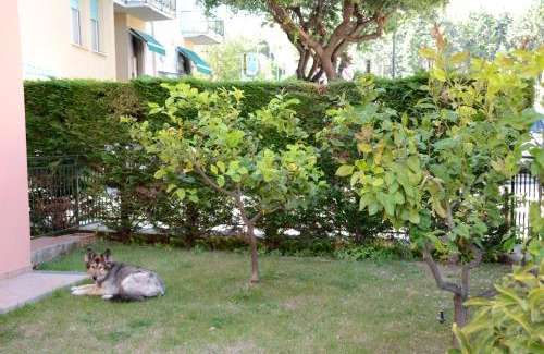 Borgio Verezzi Appartement | Appartamenti La Residenza
