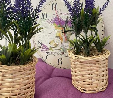 Taglio di Po Appartement | Appartamenti Nonna Rosa