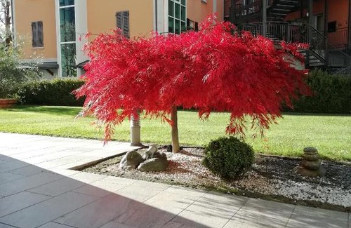 Madonna di Tirano Appartement | APPARTAMENTO ACERO - 2 min walk to Bernina Express