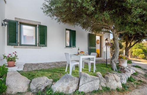 Arzachena Appartement | Appartamento Arzachena