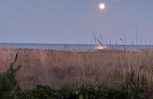 Marina di Vasto Appartement | Appartamento fronte mare costa dei trabocchi