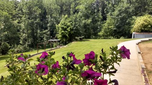 Rueglio Appartement | Appartamento La Casa nel Bosco