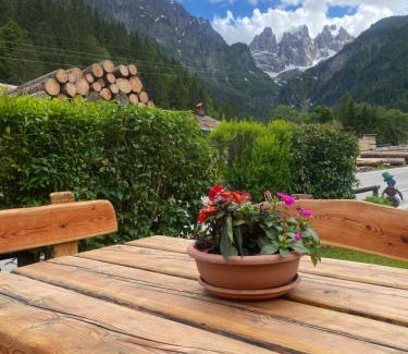 Pie Falcade Appartement | Appartamento Madama