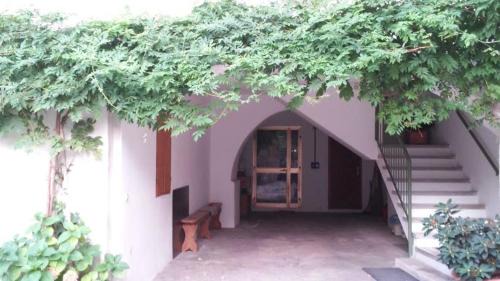 Lasino Appartement | Appartamento Masi