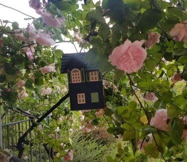 Camandona Appartement | Appartamento nel Verde