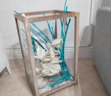 Giglio Campese Appartement | Appartamento Nora
