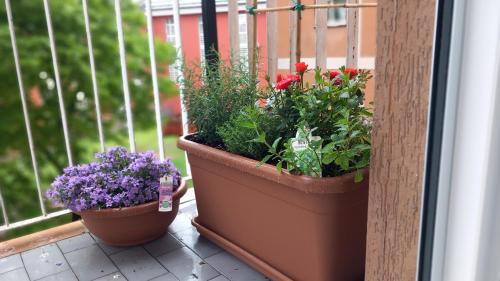 Cremona Appartement | APPARTAMENTO RACHELE