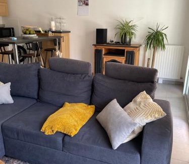Saint-Jacques-de-la-Lande Appartement | Appartement avec terrasse proche de Rennes