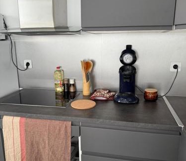 Saint-Orens-de-Gameville Appartement | Appartement climatisé Saint Orens N5