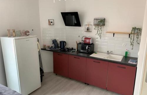 Saint-Brisson-sur-Loire Appartement | Appartement avec cour