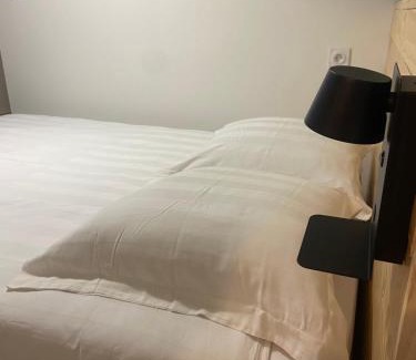Saint-Symphorien-d'Ozon Appartement | Appartement T2 meublé 2ter