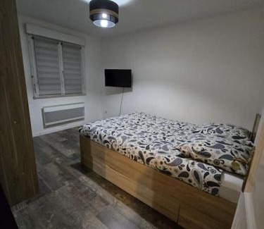 Illkirch-Graffenstaden Appartement | Appartement parking gratuit