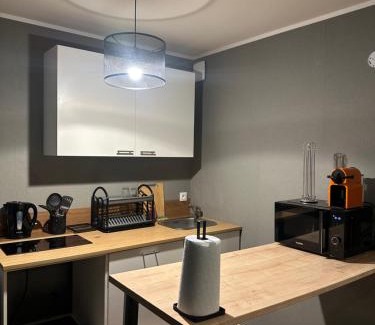 Montigny-le-Bretonneux Appartement | Appartement Claudel Netflix Saint Quentin en Yvelines