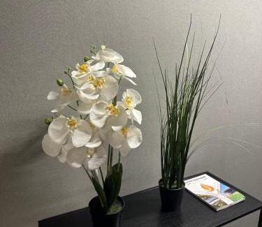 Montigny-le-Bretonneux Appartement | Appartement Claudel Netflix Saint Quentin en Yvelines