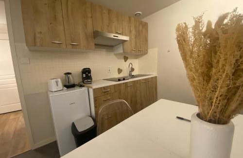 Varennes-Saint-Sauveur Appartement | Appartement chaleureux au cœur de la Bresse