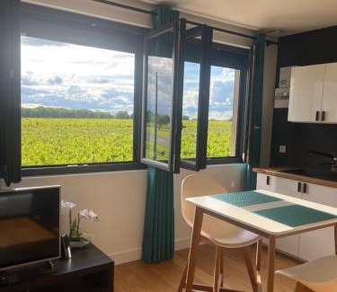 Puisseguin Appartement | Appartement 2 Château La Rose des Vents