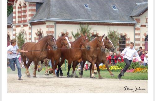 Saint-Lo Appartement | appartement 2 chambres,1 salon avec cuisine
