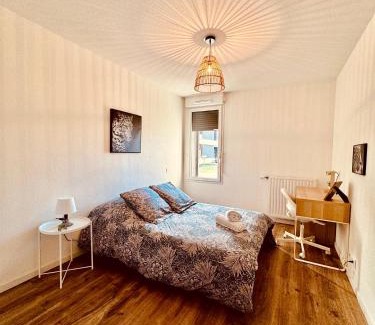 ZAC Andromede Appartement | Appartement 2 chambres cosy proche aéroport et MEETT au pied du tram