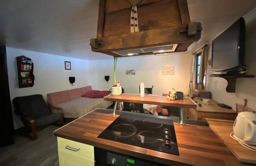 Les Prodains Appartement | Appartement 2 pièces, 5 min du téléphérique Avoriaz, navette gratuite, parking, jardin, services inclus - FR-1-754-41