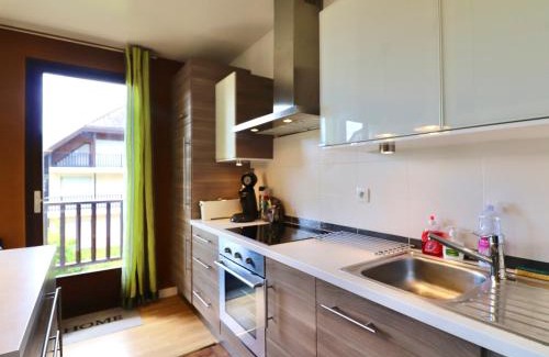 Menthon-Saint-Bernard Appartement | Appartement 3* avec balcon, piscine et lac à proximité, activités diverses - FR-1-432-4