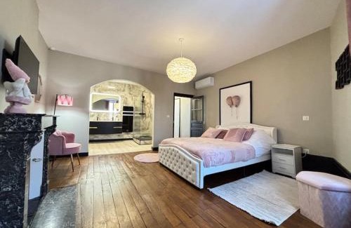 Limoges Appartement | Appartement 4 Climatisé cocon romantique au cœur de Limoges