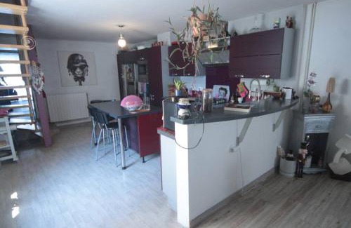 Vic-sur-Seille Appartement | Appartement 90 m2