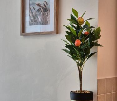 Blankenberge Appartement | Appartement aan zee Blankenberge