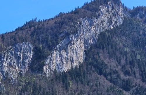 Bad Goisern Appartement | Appartement Am-Wildpfad