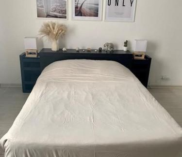 Albertville Appartement | Appartement au pied des montagnes