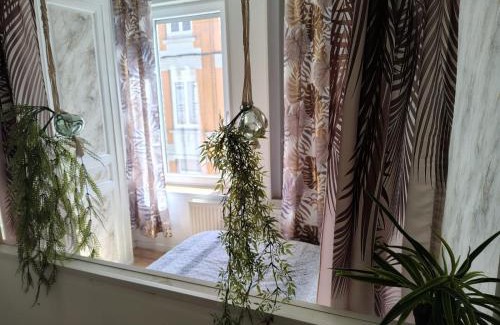 Bourbourg Appartement | Appartement au premier étage