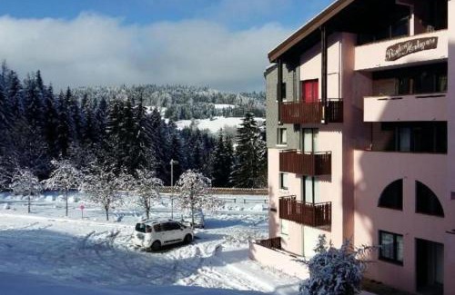 Hirmentaz Appartement | Appartement avec balcon vue montagne à Bellevaux