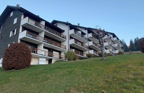 Ormont-Dessous Appartement | Appartement avec vue splendide sur les montagnes et valée du Rhone